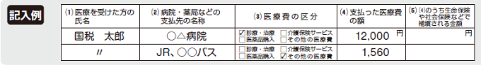 医療費控除の明細書記入例