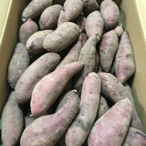 Sweet Potato